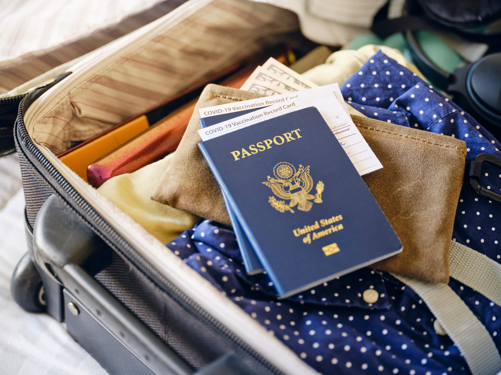 tax debt and passports